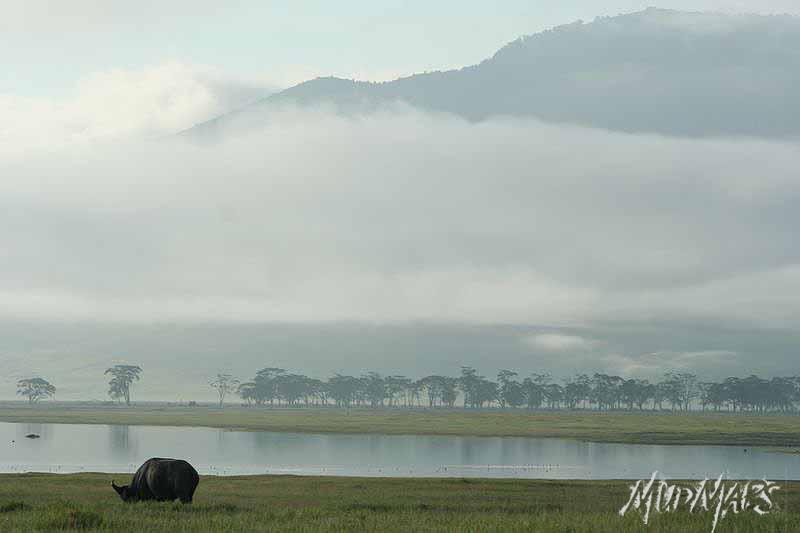 Mud Maps Africa Ngorongoro NP 2105